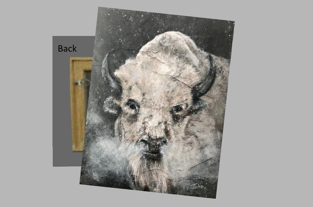 Buffalo White on a Metal Print